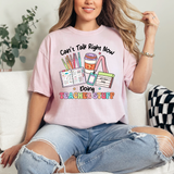 Can't Talk Teacher Stuff